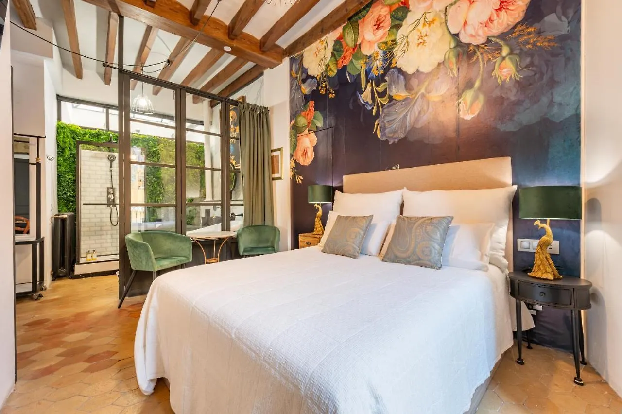 Dog Admiral - Urban Guest House Palma