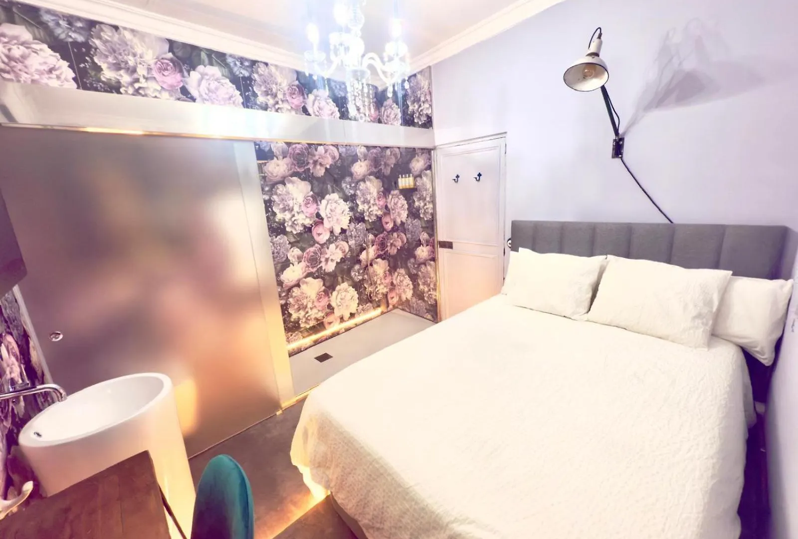 Dog Admiral - Urban Guest House Palma